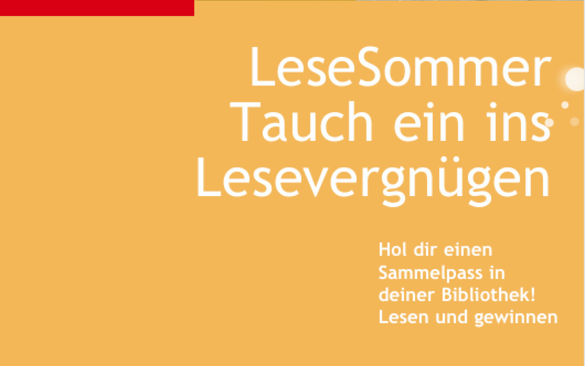 Flyer Lesesommer