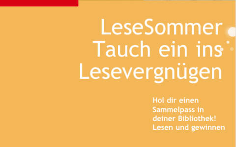 Flyer Lesesommer